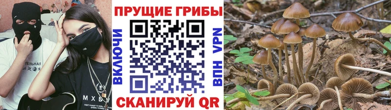 Псилоцибиновые грибы мухоморы  Алушта 
